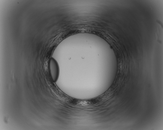 X0000100980611200806241150