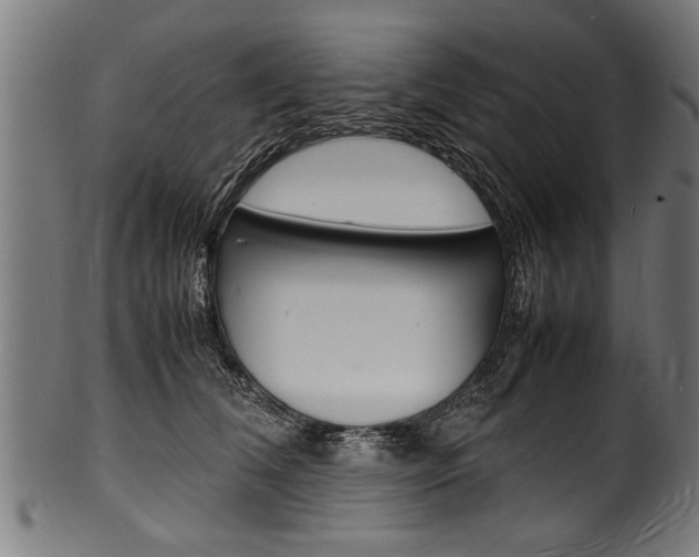 X0000100980612200806241150
