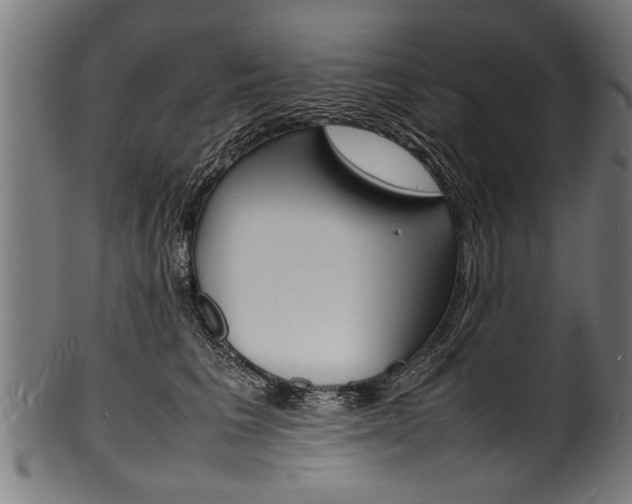 X0000100980613200806241150