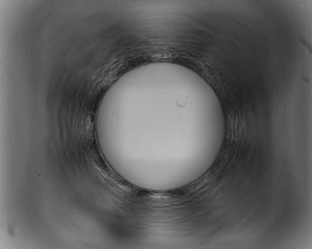 X0000100980614200806241150