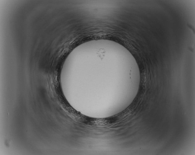 X0000100980615200806241150