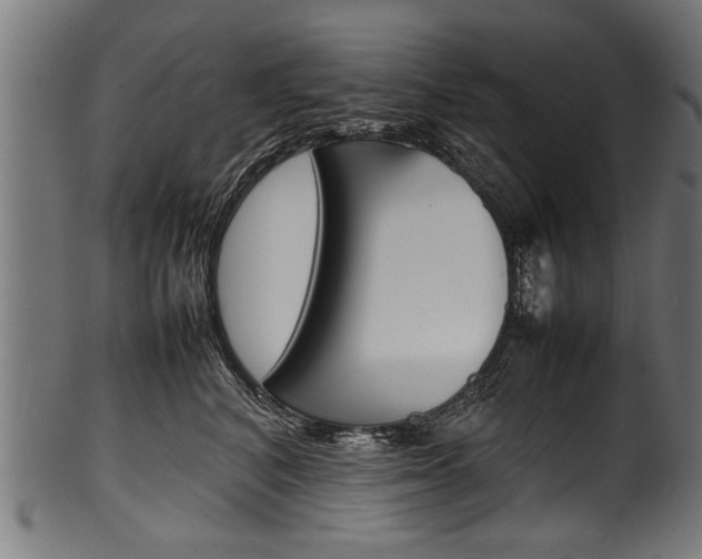 X0000100980616200806241150