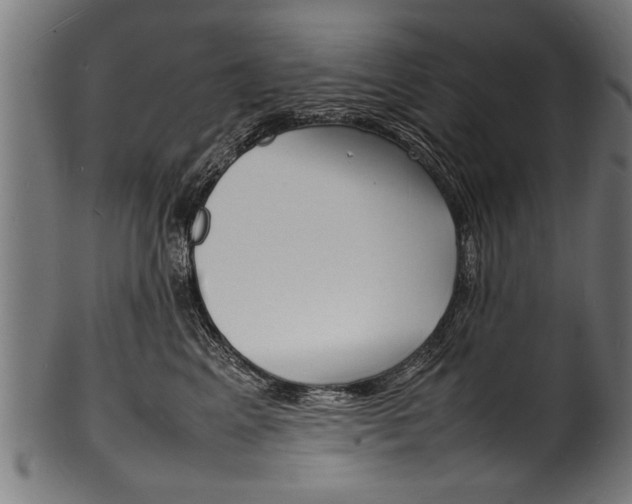 X0000100980617200806241150