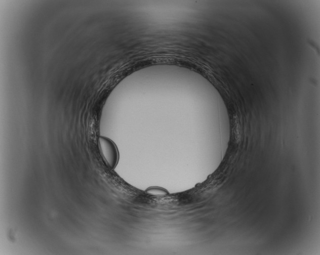 X0000100980619200806241150