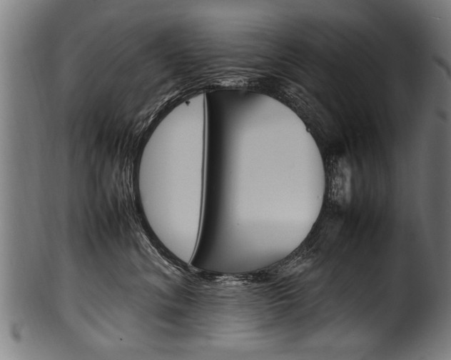 X0000100980620200806241150