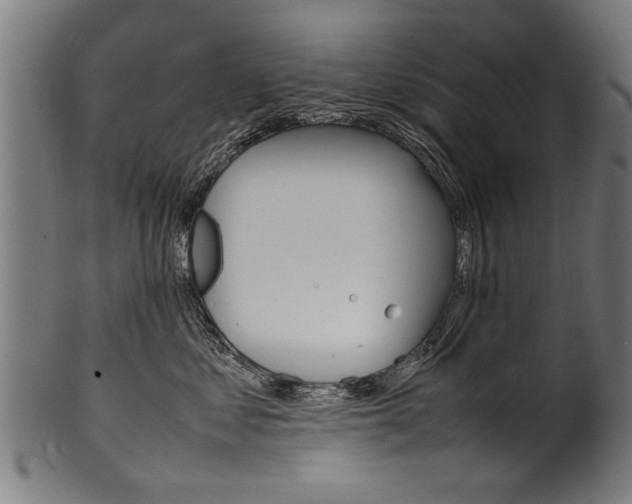 X0000100980621200806241150