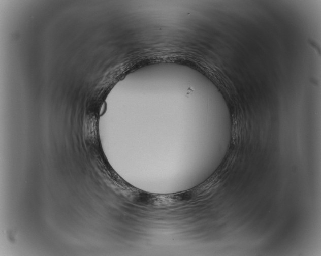 X0000100980623200806241150