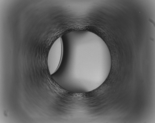 X0000100980624200806241150