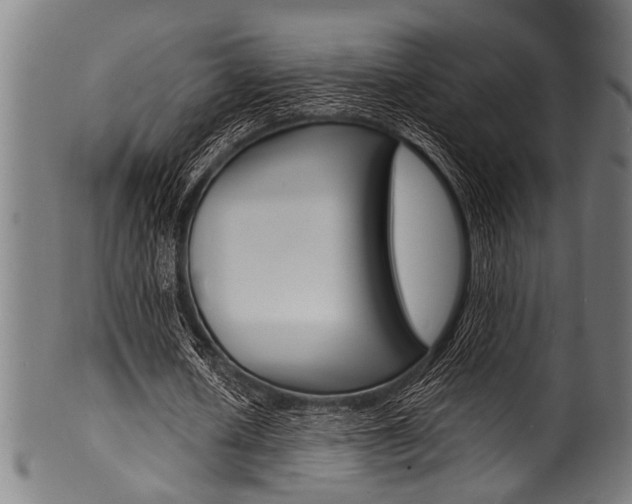 X0000100980626200806241149
