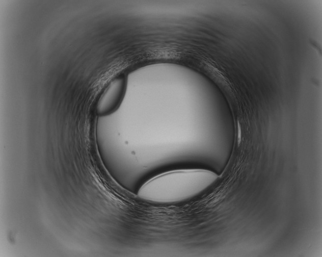 X0000100980627200806241149