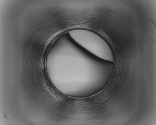 X0000100980628200806241149