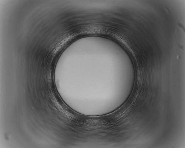X0000100980629200806241149