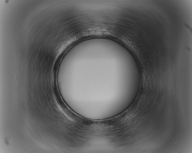 X0000100980630200806241149