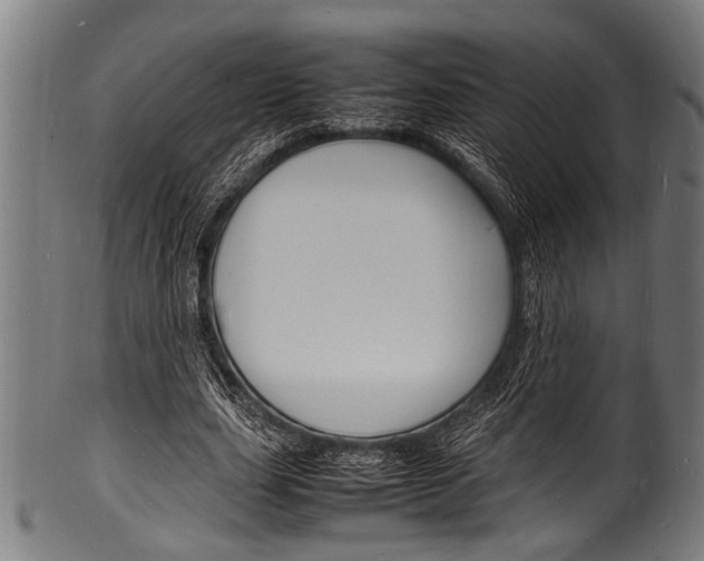 X0000100980631200806241149
