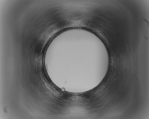 X0000100980632200806241149