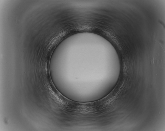 X0000100980633200806241149
