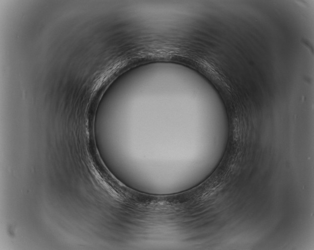 X0000100980634200806241149