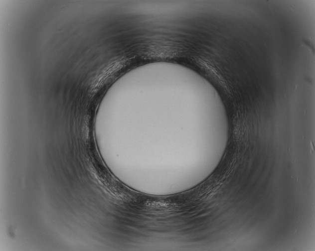 X0000100980635200806241149
