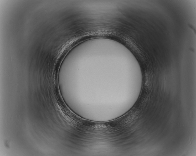 X0000100980636200806241149