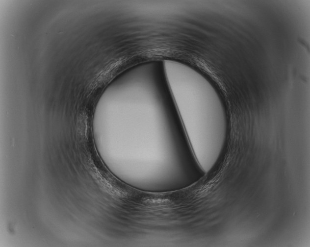 X0000100980637200806241149