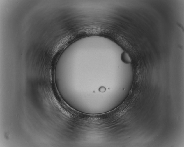 X0000100980638200806241149