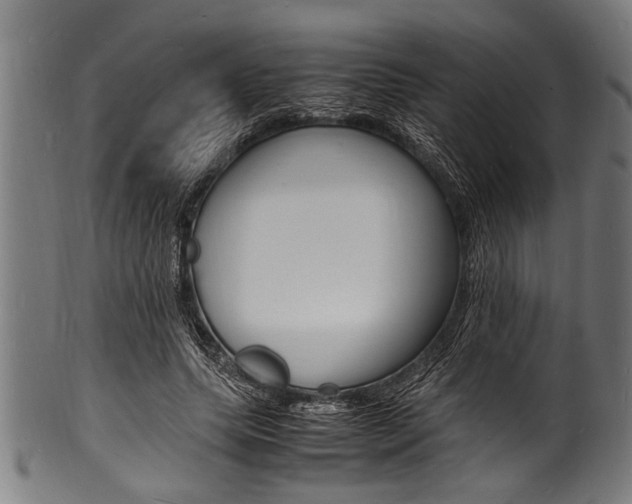 X0000100980639200806241149