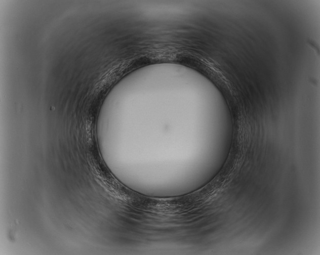 X0000100980641200806241149