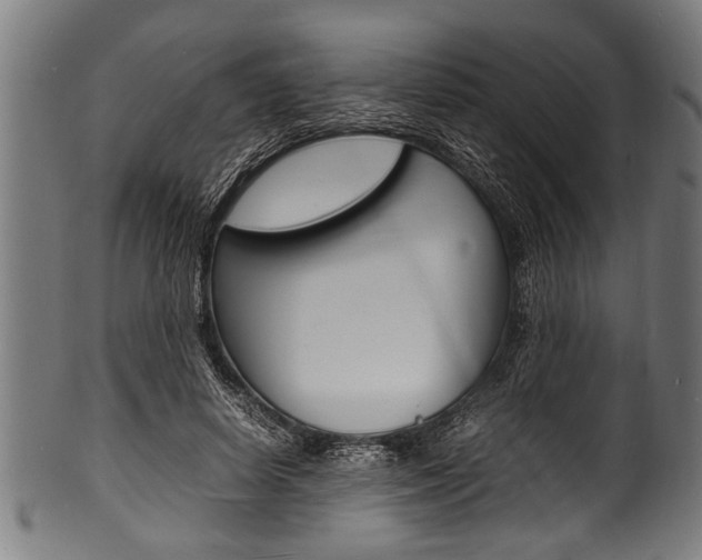 X0000100980642200806241149