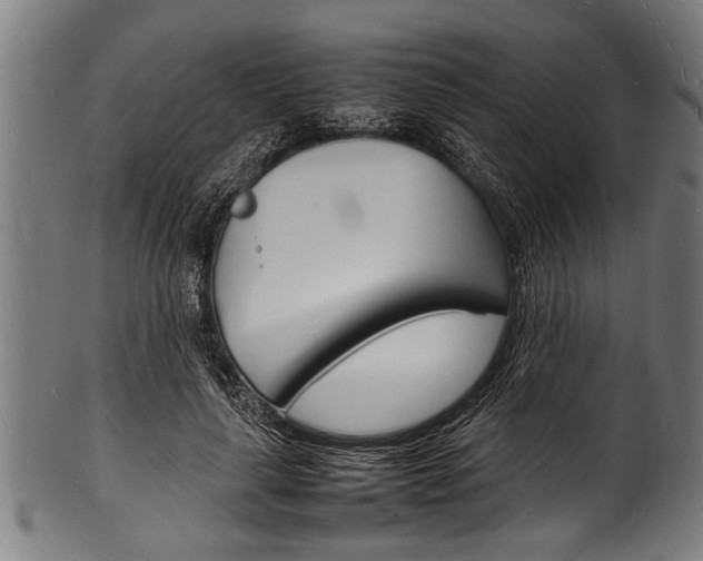 X0000100980643200806241149
