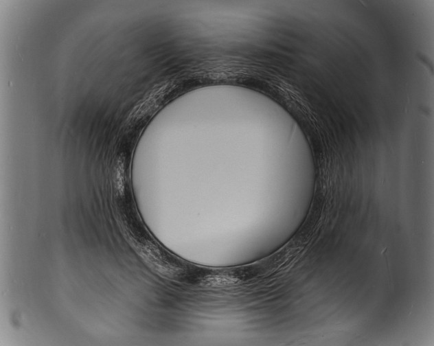 X0000100980644200806241149