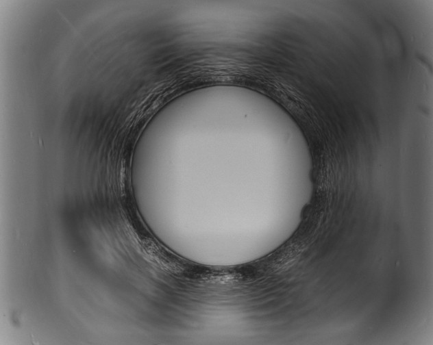 X0000100980646200806241149