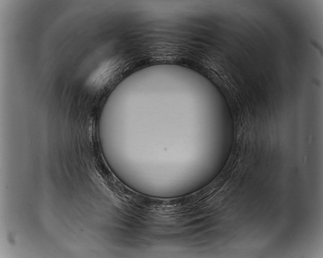 X0000100980647200806241149