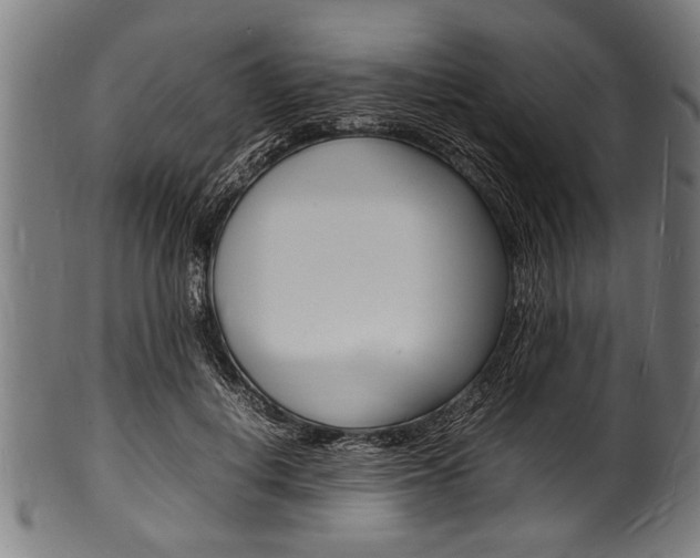 X0000100980648200806241149