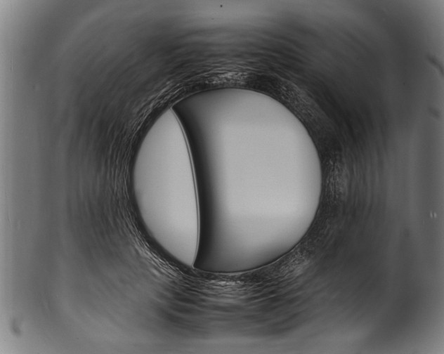 X0000100980649200806241149