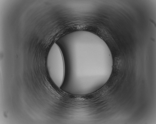 X0000100980650200806241149