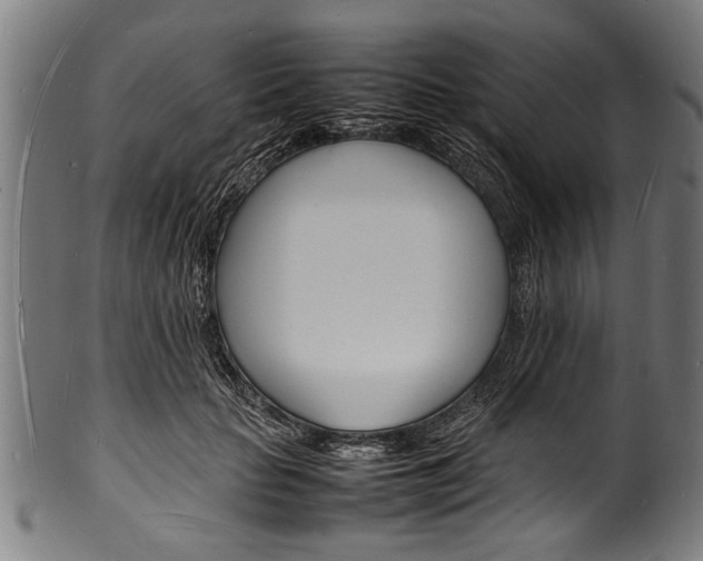 X0000100980653200806241149