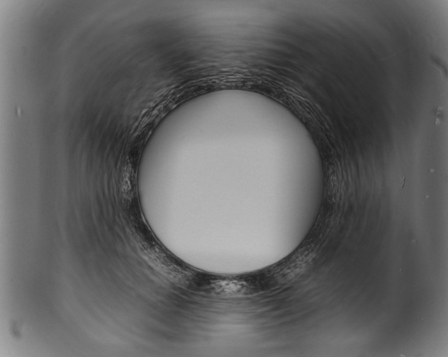 X0000100980654200806241149