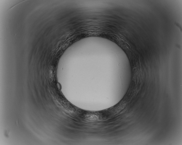 X0000100980655200806241149