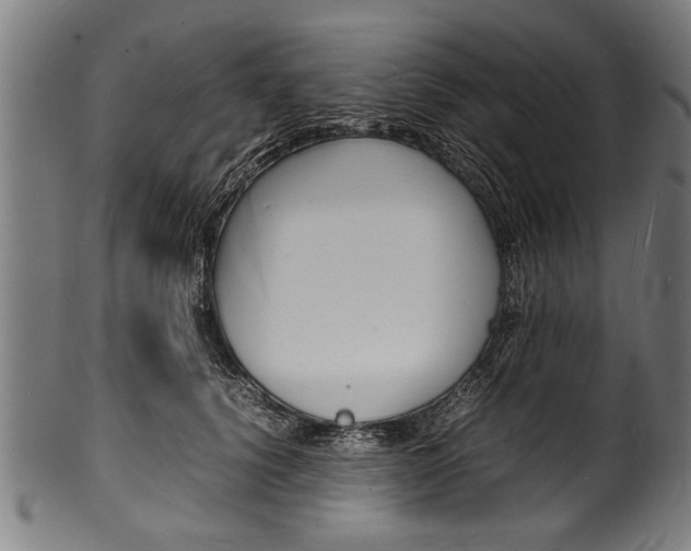 X0000100980656200806241149