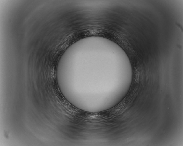 X0000100980657200806241149