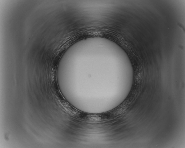 X0000100980658200806241149