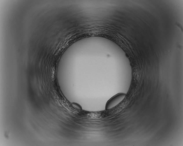 X0000100980660200806241149