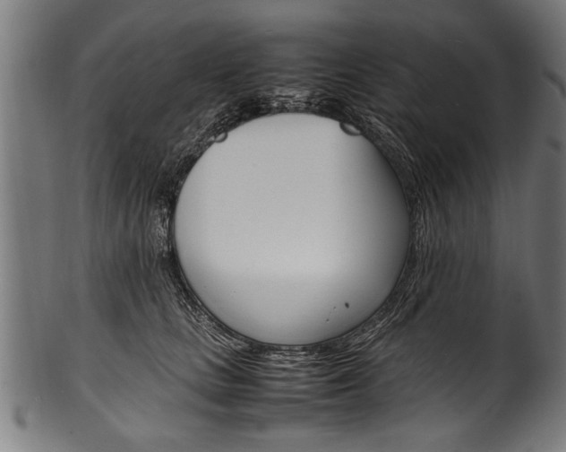 X0000100980661200806241149