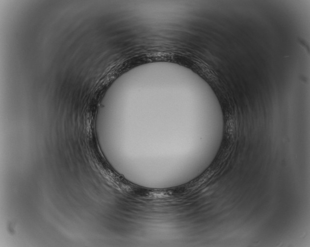 X0000100980662200806241149