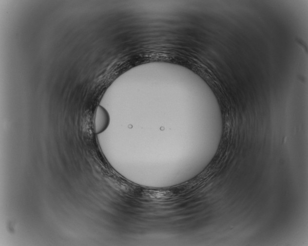 X0000100980663200806241150