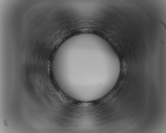 X0000100980664200806241150