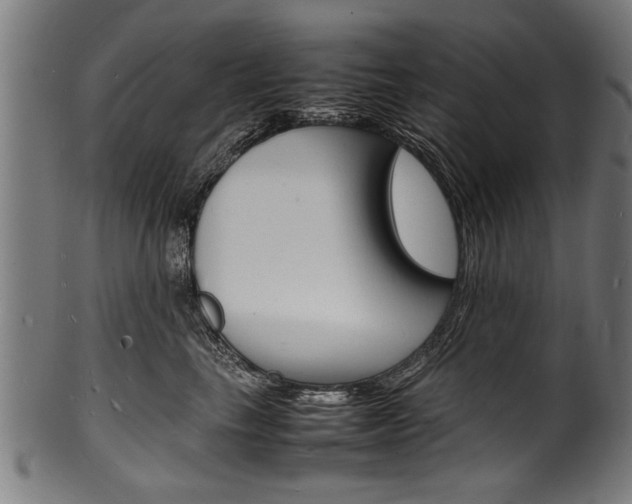 X0000100980665200806241150