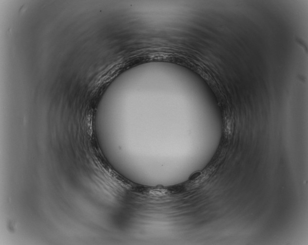 X0000100980666200806241150