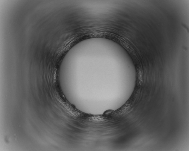 X0000100980668200806241150