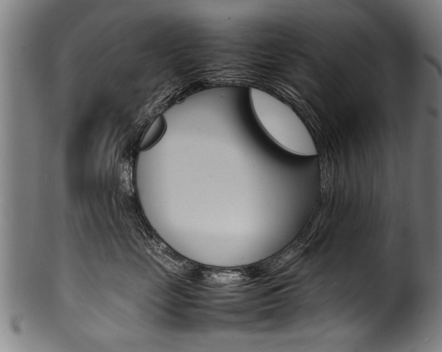 X0000100980669200806241150
